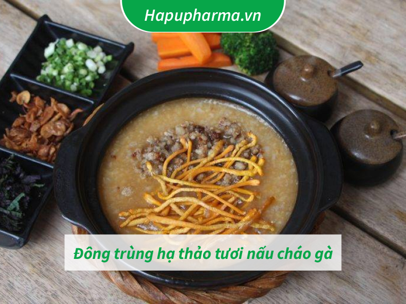 Đông trùng hạ thảo tươi nấu món ăn