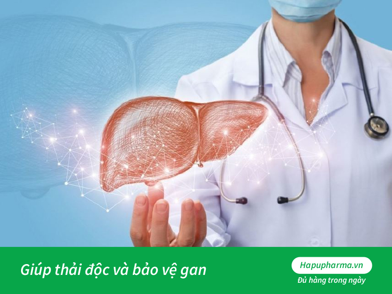 Bảo vệ gan và thải độc gan