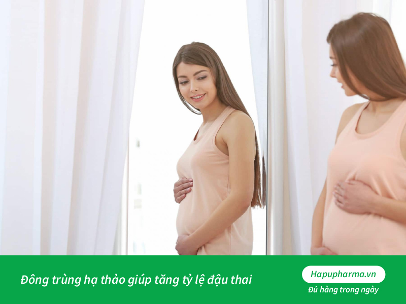 Đông trùng hạ thảo giúp tăng tỷ lệ đậu thai