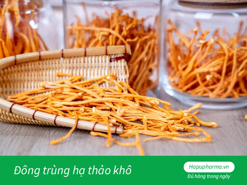 Đông trùng hạ thảo khô