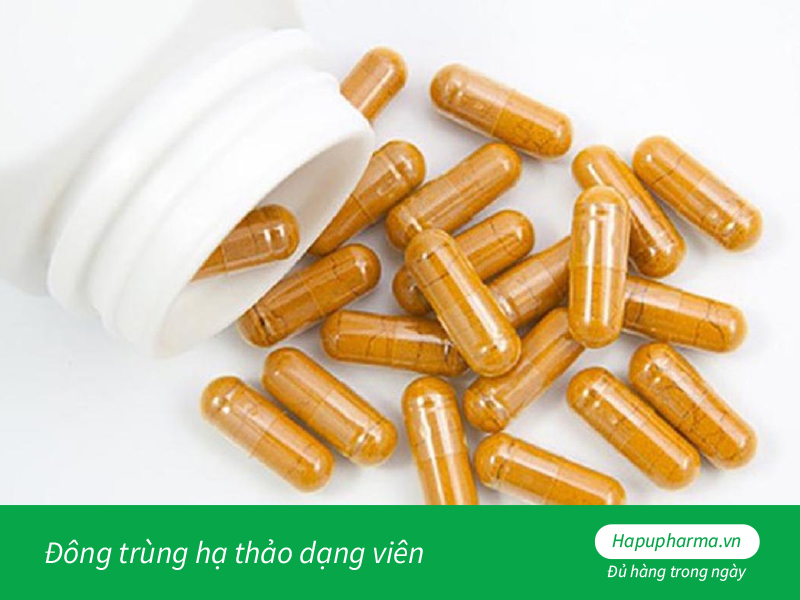 Đông trùng hạ thảo dạng viên