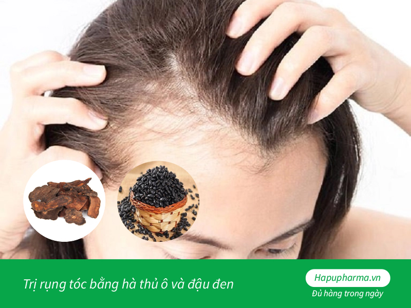 Trị rụng tóc bằng hà thủ ô và đậu đen