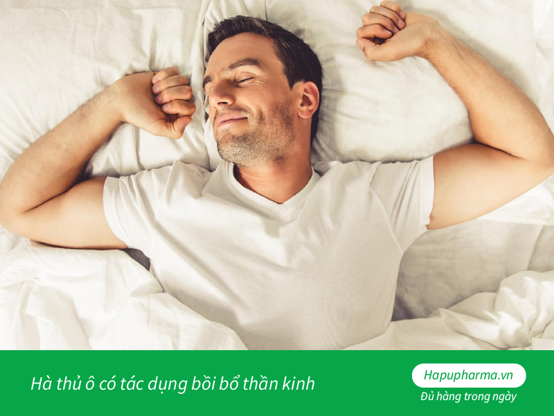 Hà thủ ô có tác dụng bồi bổ thần kinh