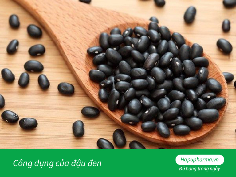 Công dụng của đậu đen