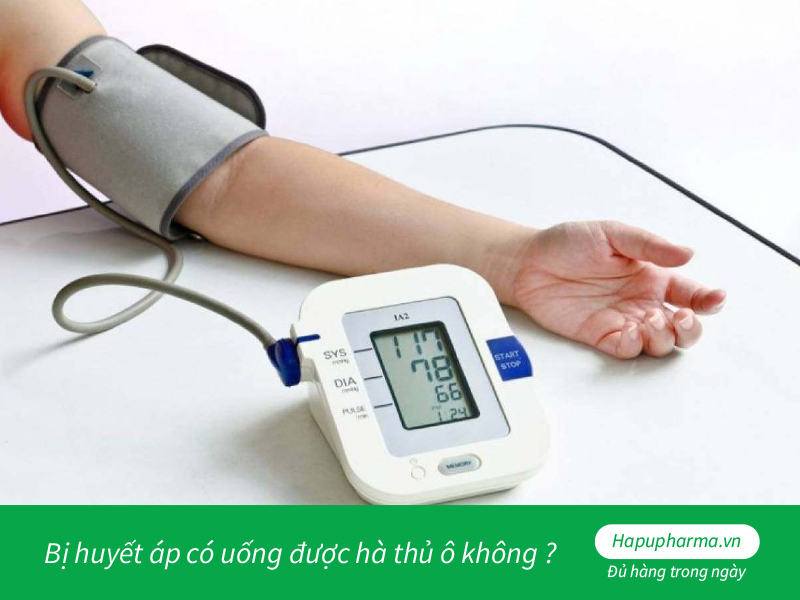 Bị huyết áp có uống được hà thủ ô không?