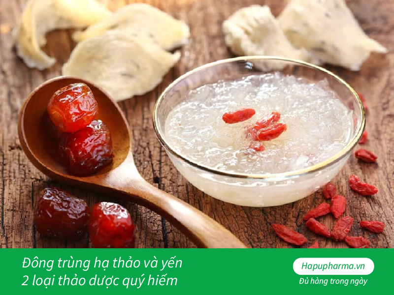 Đông trùng hạ thảo và yến - 2 loại thảo dược quý hiếm