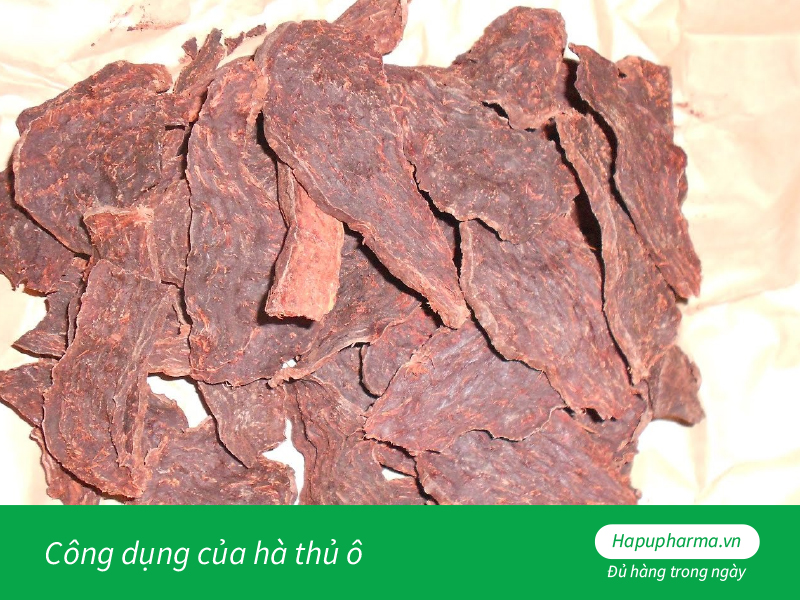 Công dụng của hà thủ ô