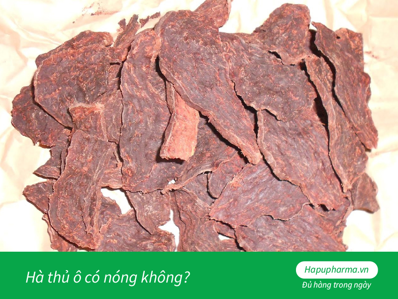 Hà thủ ô có nóng không?