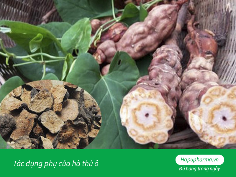 Tác dụng phụ của hà thủ ô