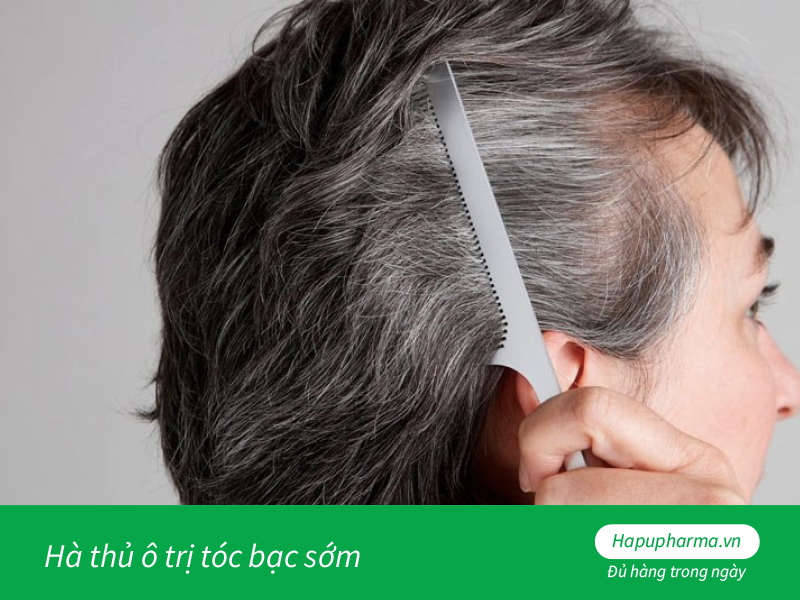 Hà thủ ô trị tóc bạc sớm