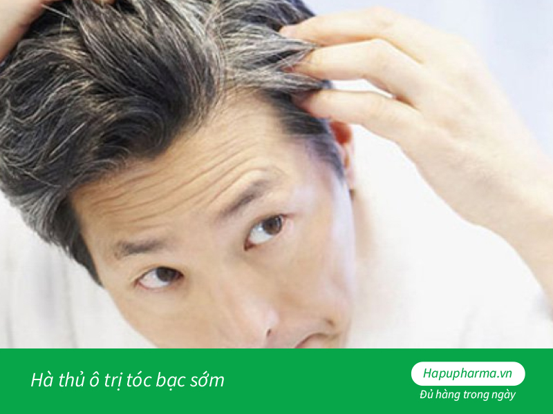 Hà thủ ô trị tóc bạc sớm