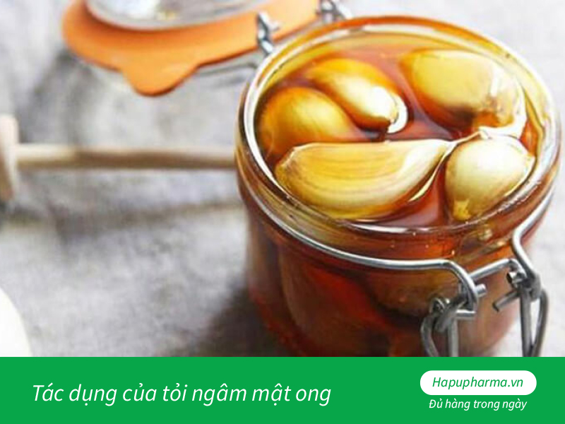 Tác dụng của tỏi ngâm mật ong