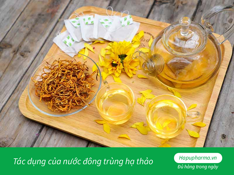 Tác dụng của nước đông trùng hạ thảo