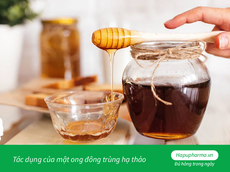 Tác dụng của mật ong đông trùng hạ thảo