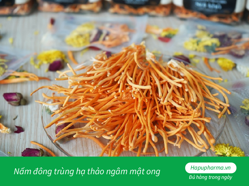 Nấm đông trùng hạ thảo ngâm mật ong