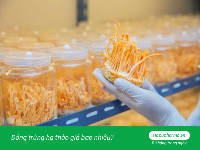 Đông trùng hạ thảo giá bao nhiêu?