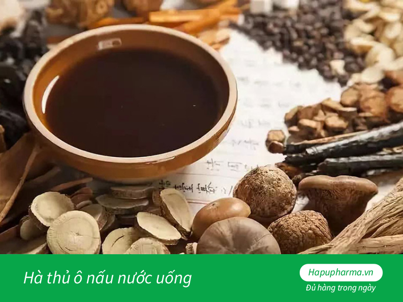 Hà thủ ô nấu nước uống