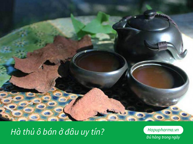 Hà thủ ô bán ở đâu uy tín?