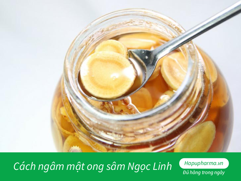 Cách ngâm mật ong sâm Ngọc Linh