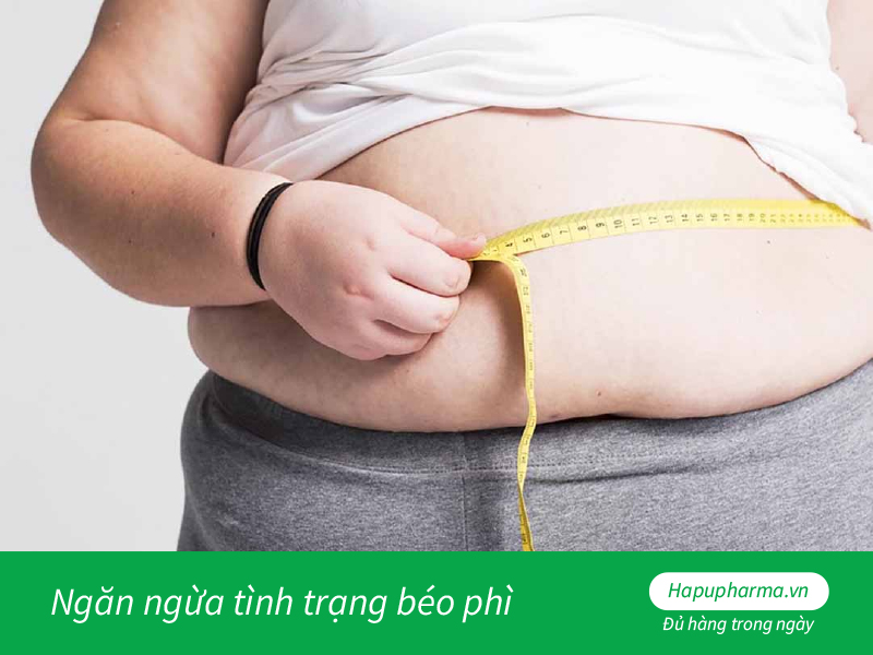 Ngăn ngừa tình trạng béo phì