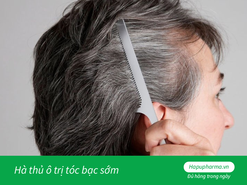 Hà thủ ô trị tóc bạc sớm