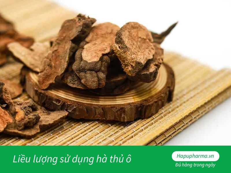  Liều lượng sử dụng hà thủ ô