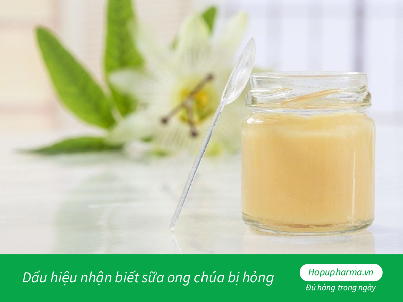 Dấu hiệu nhận biết sữa ong chúa bị hỏng