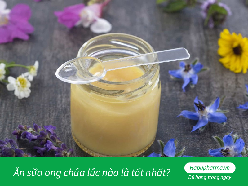 Ăn sữa ong chúa lúc nào là tốt nhất?