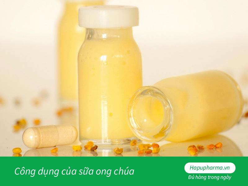 Công dụng của sữa ong chúa