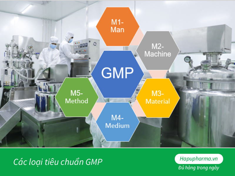 Các loại tiêu chuẩn GMP