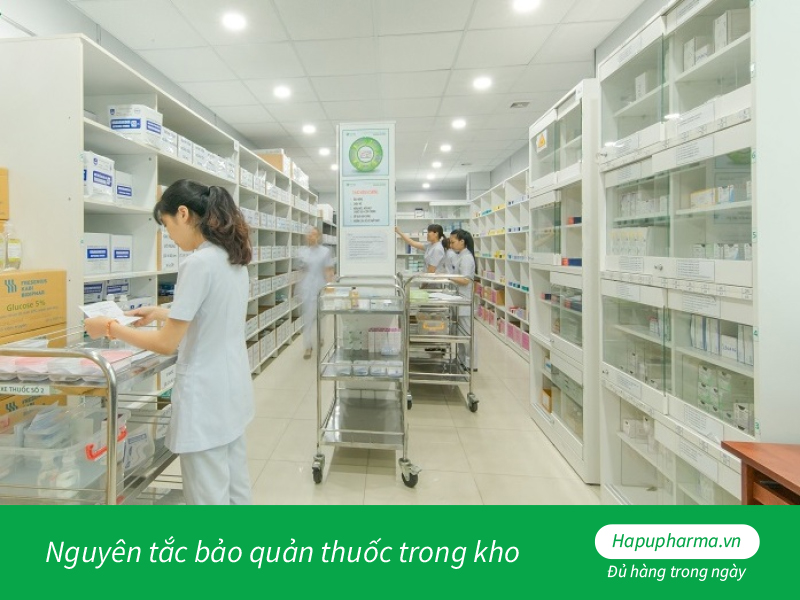 bảo quản thuốc trong kho