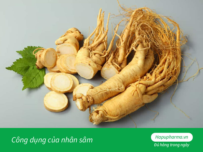 Công dụng của nhân sâm