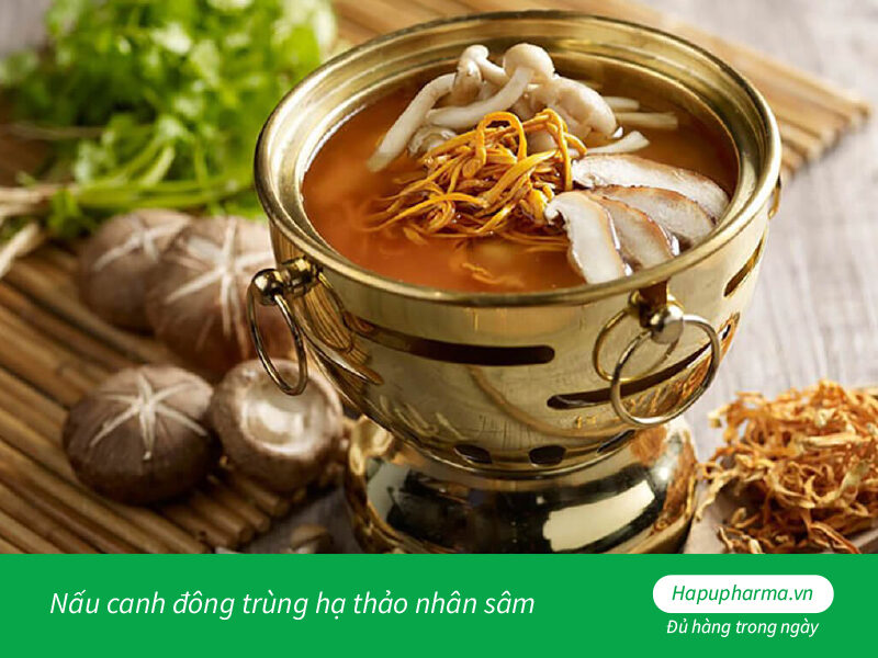 Nấu canh đông trùng hạ thảo nhân sâm