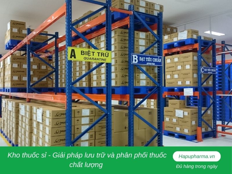 Kho thuốc sỉ - Giải pháp lưu trữ và phân phối thuốc chất lượng